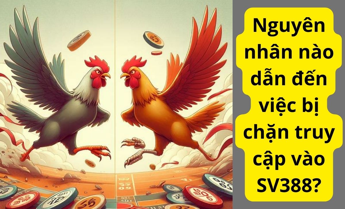 Nguyên nhân nào dẫn đến việc bị chặn truy cập vào SV388?