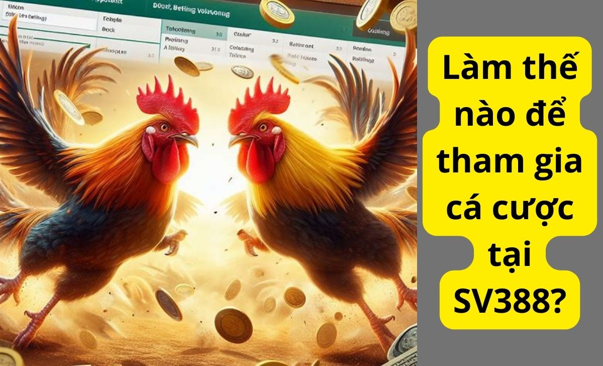 Làm thế nào để tham gia cá cược tại SV388?